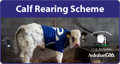 Calf Rearing Scheme